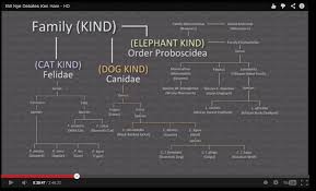 Ken Hams Darwinism On The Origin Of Species By Means Of
