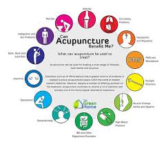 Does blue cross blue shield cover acupuncture. Acupuncture Faq Life Point Acupuncture
