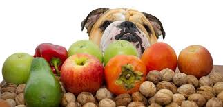 Maybe you would like to learn more about one of these? What Fruits Can Dogs Eat The Munch Zone