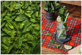 Image result for myNTU