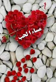 إن فاتك أن تكون محبوبا فلا يفوتك أن تكون محبا مساء الحب والدفء لكل القل good morning beautiful images good evening good morning with flowers