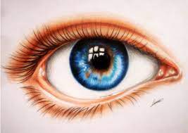 Pin On Eyes