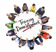 Training and Development