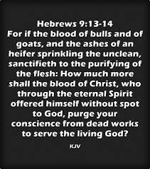 Black Blood Of The Earth Hebrews 9 13 14 King James Kjv Kjv You Are The Father King James Bible