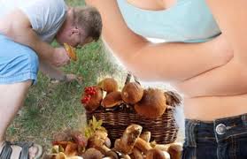 Картинки по запросу отруєння грибами
