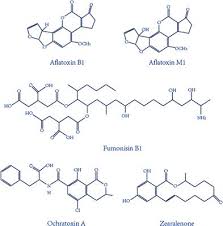 As per one estimate, 40% of the hepato(lciveellruclaarnccaerrc)inoma in africa. Frontiers Aptamer Based Biosensor For Detection Of Mycotoxins Chemistry