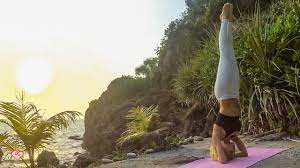 Maybe you would like to learn more about one of these? Advanced Intermediate Yoga Flow Expand Your Practice Yoga Flow Easy Yoga For Beginners Morning Yoga Workouts