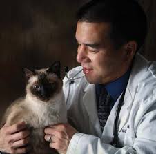 Cornell Feline Health Center Annual Report 2019