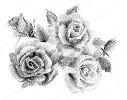 Check spelling or type a new query. Fotos De Flores Dibujo Lapiz De Stock Flores Dibujo Lapiz Imagenes Libres De Derechos Depositphotos