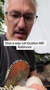 musa_usa (@musa_turko)’s videos with orijinal ses