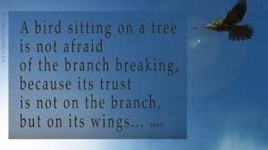 Bird Sitting On Branch Quote Bird Branch Quote Great Words Quotes