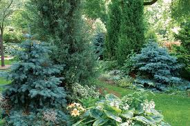The creation of a microcosm that includes vegetables, fruits, trees, bushes, wheat, flowers. Designing With Dwarf Conifers Finegardening