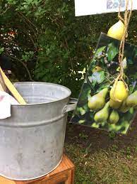 Check spelling or type a new query. Herr Von Ribbeck Auf Ribbeck Im Havelland Ein Birnbaum In Seinem Garten Stand Picknick Unter M Apfelbaum