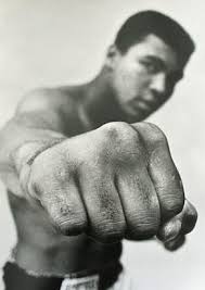 Mallory Conrad (@MiraPax)