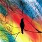 In Studio - Rainbow Raven