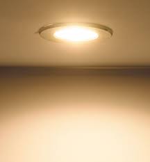 Indoor Outdoor Warm Or Natural White Mini Recessed Led Light Lee Valley Tools