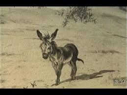 Platero Y Yo De Juan Ramon Jimenez Un Libro Centenario Youtube