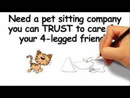 Here S A Clever Animated Promotional Video From Pineapple Pet Sitters Petsitter Commercial Video Pet Sitters Sitter Dog Walking Services