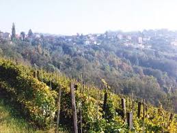 Locuri de munca in italia. Locuri De Munca La Vie In Italia 1 De Articole In Agroromania Ro