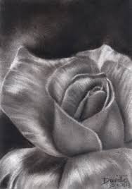 Black And White Pencil Drawings Of Flowers Charcoal Flower Drawings Google Search Charcoal Drawing Easy Charcoal Drawings Charcole Drawings