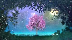 Pin On Alzheimer S Disease A Resting Place