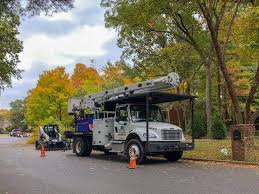 Maybe you would like to learn more about one of these? Tree Service Memphis Memphis Tree Service Company