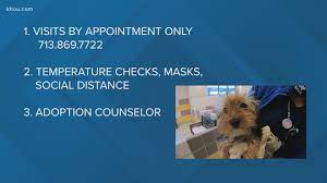 The houston spca a great place to adopt a pet and also a fun place to volunteer. Houston Spca Adoption Center Reopens To The Public Monday Khou Com