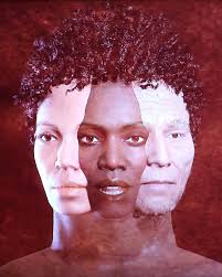 When couple Edith Lemay and Sébastien Pelletier found out that 3 of their 4  kids had a disease that would cause them eventually to go blind, they  decided to show them the