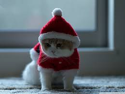 We hope you enjoy our growing collection of hd images to use as a background or home screen for your smartphone or please contact us if you want to publish a santa claus wallpaper on our site. 62 Santa Wallpaper Hd