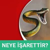 Ruyada Evde Yilan Gormek Ruyada Evde Yilan Ne Demek