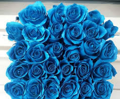 Στη σημερινή γιορτή του πατέρα είναι αφιερωμένο το doodle της google. Gzl2tkg2ob2fvm