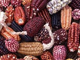 Waktu merebus jagung yang baikfaktor lain yang memengaruhi waktu perebusan jagung adalah apakah jagung itu direbus bersama kulitnya atau sudah dikupas. Bisakah Anak Makan Jagung Rebus Manfaat Dan Bahaya Jagung Kalengan Bagi Anak Anak Yang Berguna Untuk Tubuh