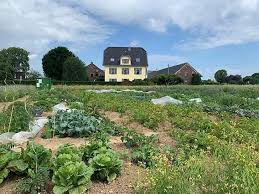 Startseite › haus mit garten mieten villach land. Meine Ernte Miete Deinen Gemusegarten In Krefeld
