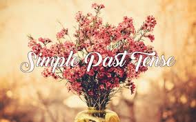 Rpp simple past tense smp kelas 8. Materi Rumus Dan Contoh Kalimat Simple Past Tense Jagoan Bahasa Inggris