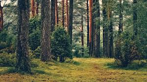 Aesthetic Scenery 62 Hd Wallpaper Addons Videolan Org