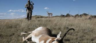 Online hunter education for your wyoming hunting license. Poor Man S Hunting Guide Diy Hunting Tips For Antelope Montana Decoy