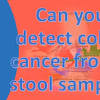 How long is the human colon? Https Encrypted Tbn0 Gstatic Com Images Q Tbn And9gcri5lim57ehxr 4 Jtgde8g1ehbexg3emfc9wn J9oj9j2ssv5x Usqp Cau