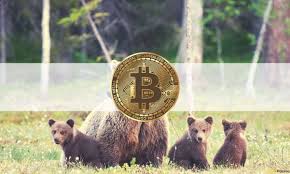 The value of the cryptocurrency market topped $2 trillion for the first time on monday. Bitcoin S Drop Below 50k And Market Cap Under 2 Trillion The Weekly Recap