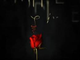 Vampires are absolutely all the rage today and we have the 'twilight' series of books and movies to credit or blame (depending on which side you are on) for this. 36 Quotes From The Vampire Diaries That Ll Hit You Right In The Feels