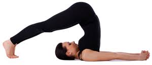 Thunderbolt pose (vajrasana) this is one of the most effective yoga asanas for brain functioning. The Twelve Basic Yoga Poses Body Mind Light