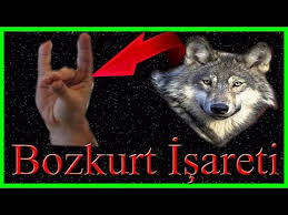 Bozkurt Ve Isareti Turkler Icin Ne Anlama Geliyor Ogrenelim Youtube