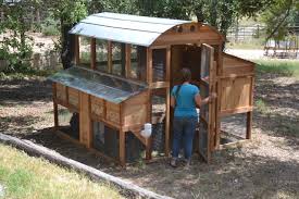 That right there is a huge red flag. Walk In Chicken Coop You Ll Love In 2021 Visualhunt