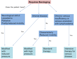 Lymphedema Stroke Diagram Wiring Diagram Code