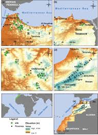 Image result for Crepidorhopalon namuliensis