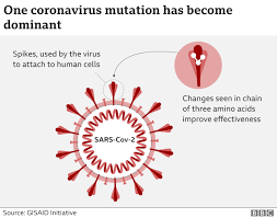 There is no current evidence to suggest the new strain is more. Coronavirus Are Mutations Making It More Infectious Bbc News