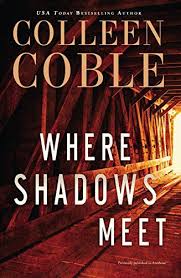 50 Best Mystery Romance Novels That Keep You Guessing Where Shadows Meet A Romantic Suspense Novel Romantic Suspense Novels Romantic Suspense Suspense Novel