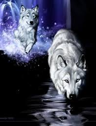 Fan Art Of Fantasy Wolves For Fans Of Fantasy Wolf Photos Fantasy Wolf Wolf Pictures