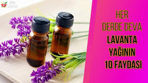 Her Derde Deva Lavanta Yaginin On Faydasi Lavanta Deri Bitki
