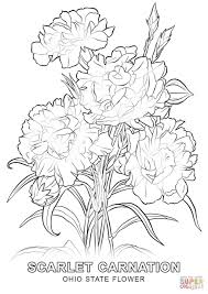 Ohio state symbols coloring page for coloring pages theotix. Ohio State Bird And Flower Coloring Pages Coloring Pages Ideas