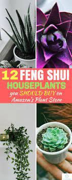 This ultimate bedroom feng shui guide sets out 17 layout diagrams showing good and bad bedroom feng shui as well as lists out 25 feng shui 21. 12 Feng Shui Houseplants You Should Get On Amazon S Plant Store Feng Shui Indoor Plants Feng Shui Plants Feng Shui Bedroom